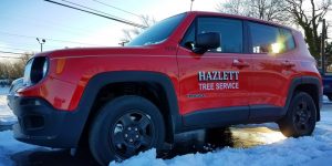Jeep Renegade Safety Features